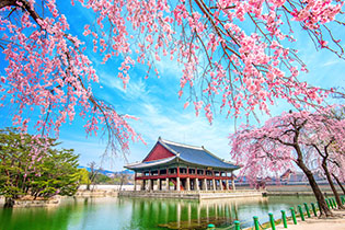 Click for Korea Commencement Details