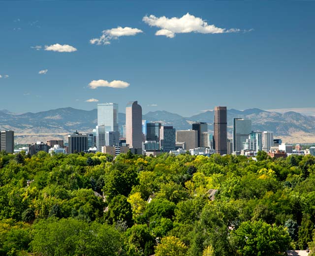 Using Sustainability for Business Success